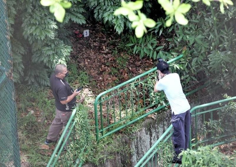 Cleaner finds man, 83, dead among bushes along busy CTE
